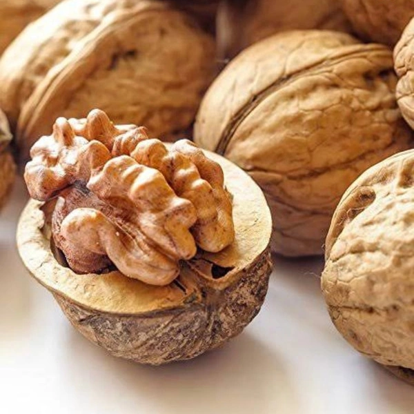 City Fresh Akhrot Whole 500gm