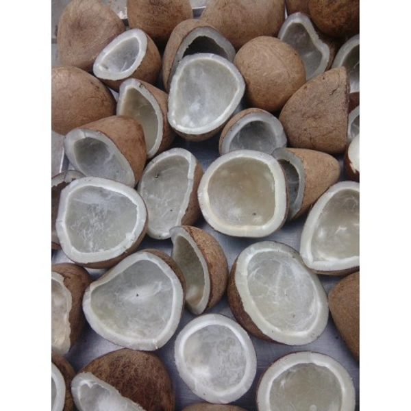 City Fresh Dry Nariyaal Copra 100gm