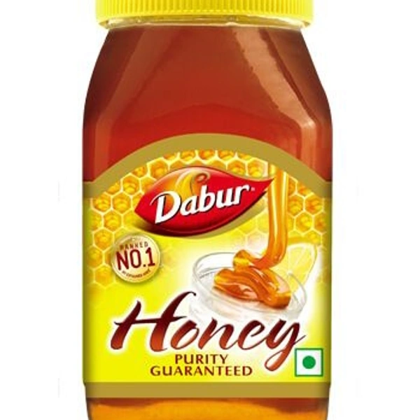 Dabur Honey 100gm