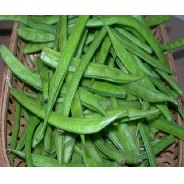 Beans Sam 250 Gm