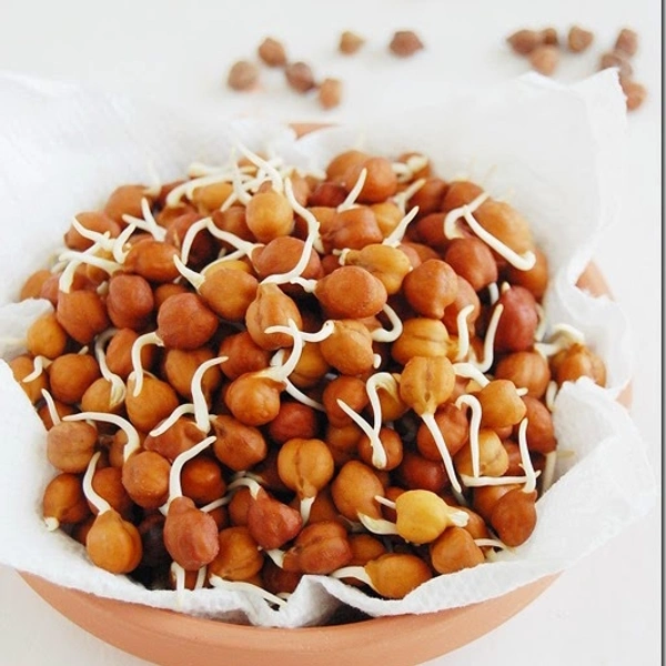 Chana Sporouts 150gm Pack