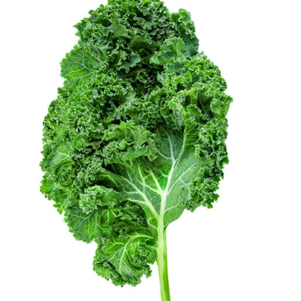 Organic Kale Leavs 100gm