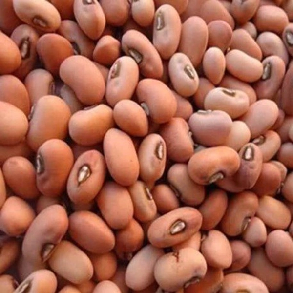 Red Lobiya - 1kg