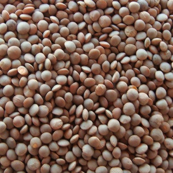 Sabut Masoor - 1kg