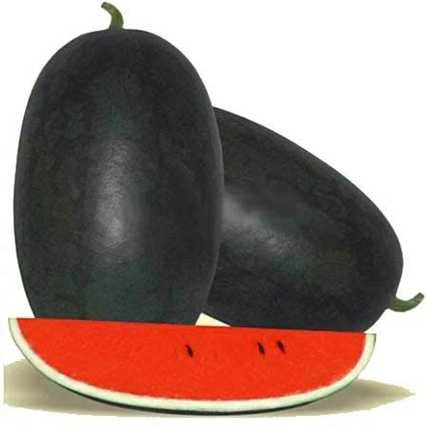 Water Melon1000g-2000g