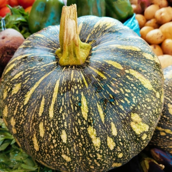 Green Kaddu 250 G