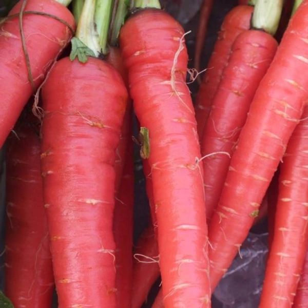 Red Carrot 1 Kg
