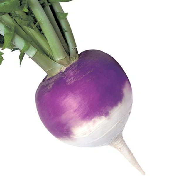 Turnip 250g