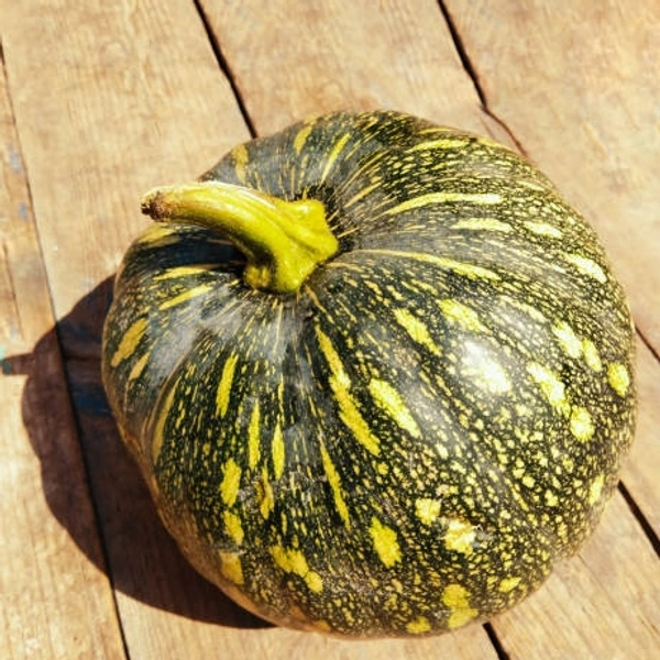 Yellow Kaddu 250 G