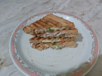 Chicken Mayo Sandwitch - Brown, Bread Size