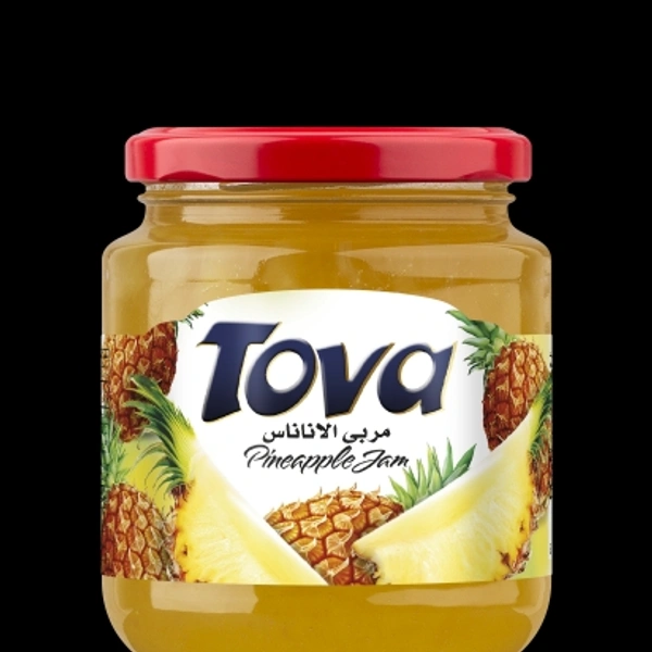 Pineapple Jam Toya - Portafino, 500g 250g 1kg 5kg Bucket