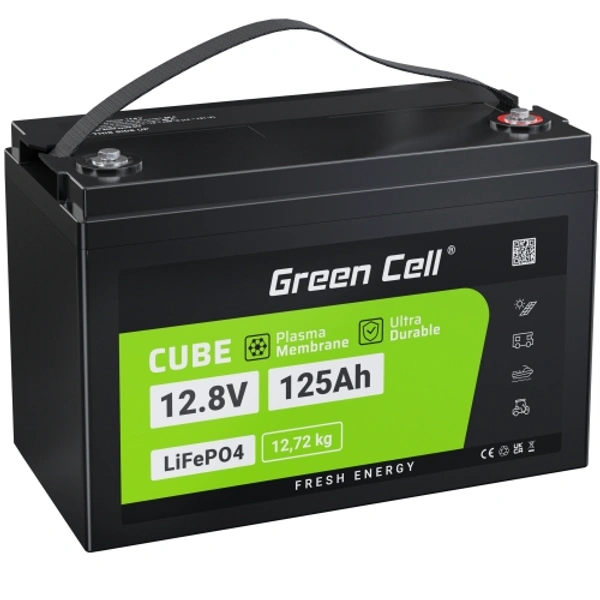 Lithium Battery 12.8v 125ah - Japanese Laurel, Large