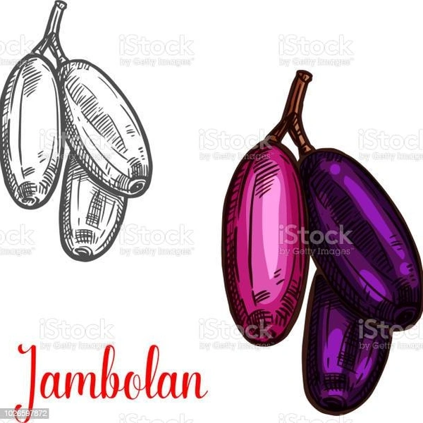 Purple Akebi Fuit Jam - Purple, 500gm 750gm 900gm
