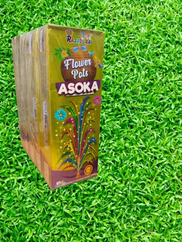 Flower Pots Asoka (10pcs)