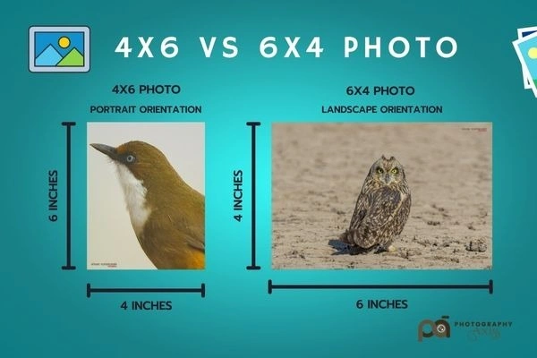 POST CARD SIZE PHOTO 4*6 