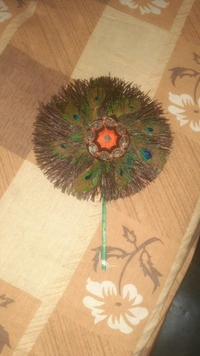 Peacock Feather Fan Hand Held