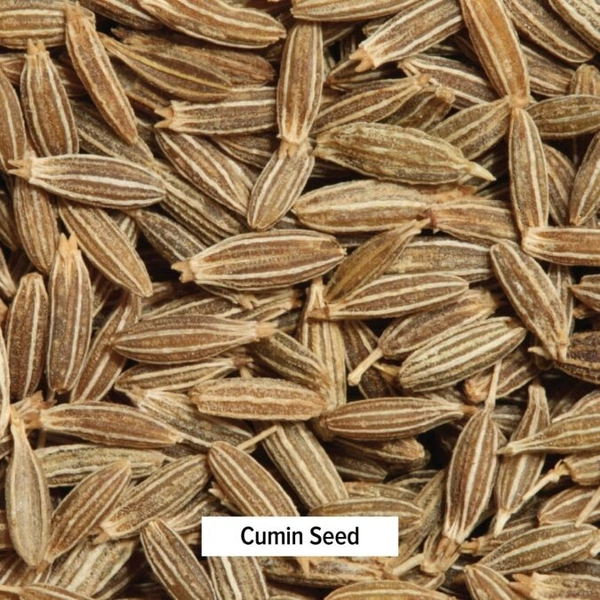 Cumins(jeelakarra)50 Grams - 50 Grams