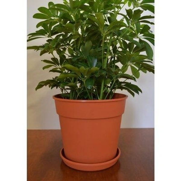 Garden Pots 8 Inch With Base Plate - 8 Inch