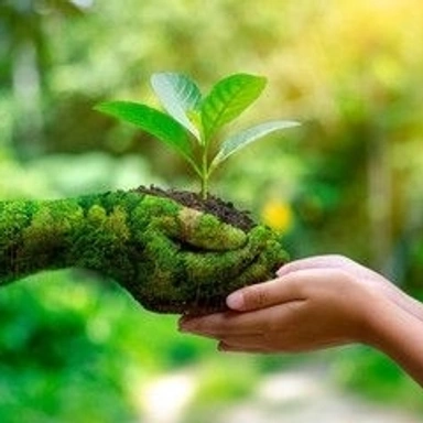  Garden Care