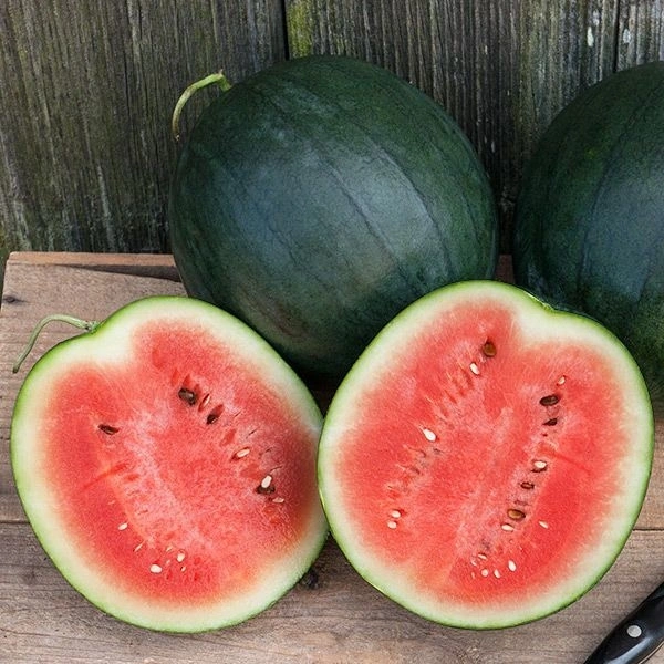 Watermelon  - 3kg -5 Kg