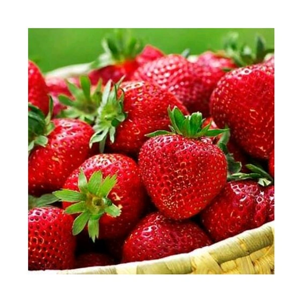 Strawberry  - 1kg