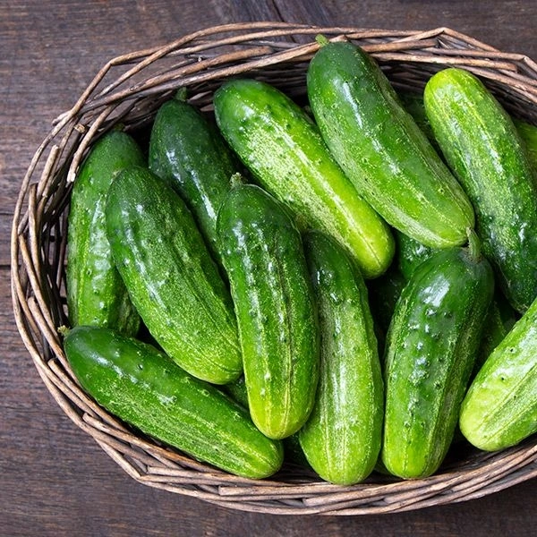 Cucumber (Kheera) - 1kg