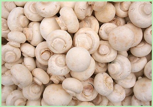 Mushrooms  - 200g