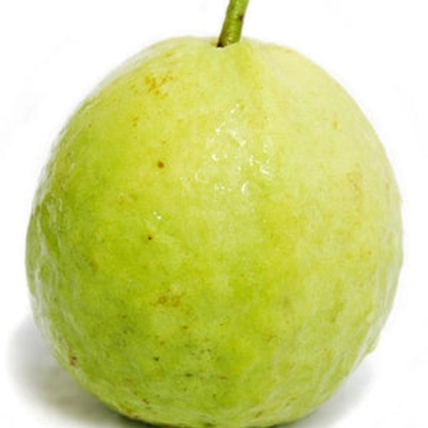 Guava (Amrud)  - 1pc