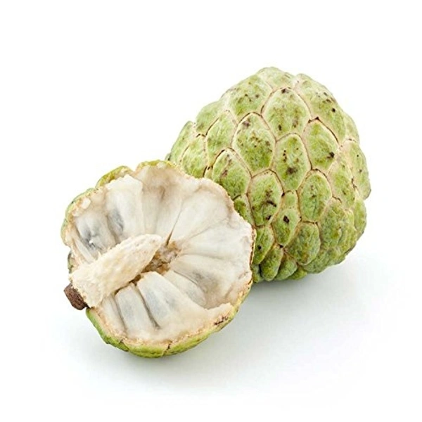 Custard Apple - 1kg