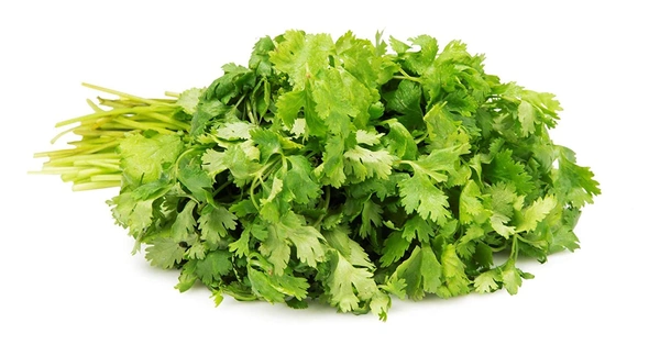 Coriander Fresh Coriander, 100g