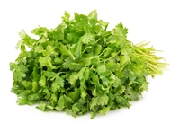 Coriander Fresh Coriander, 100g