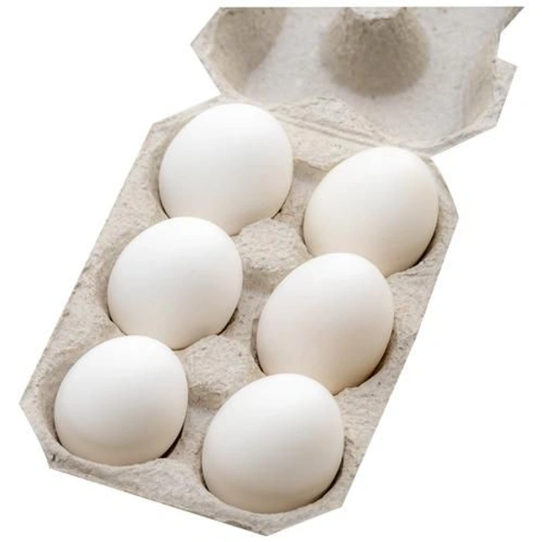 Fresh Eggs