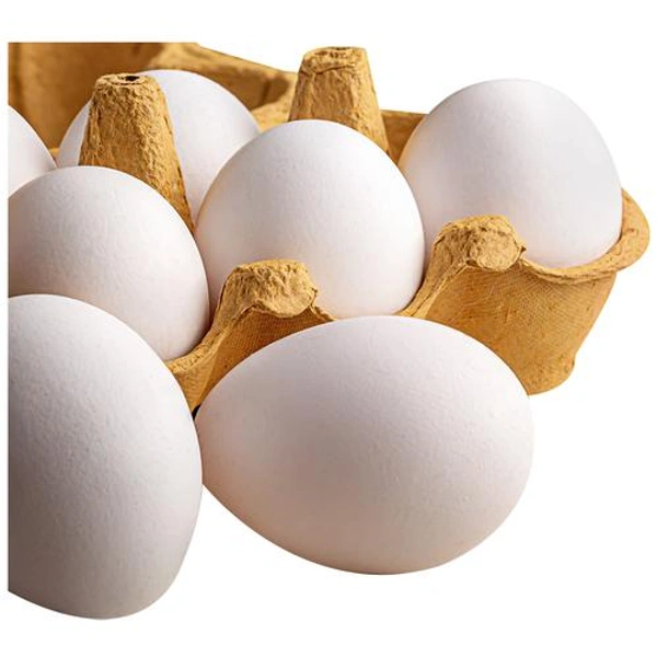 Fresh Eggs