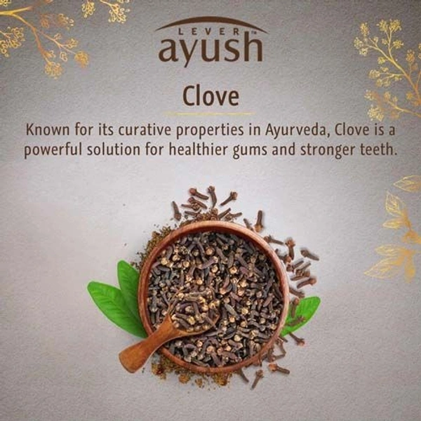 Ayush Paste 80G