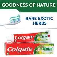 Colgate Herbal 100G