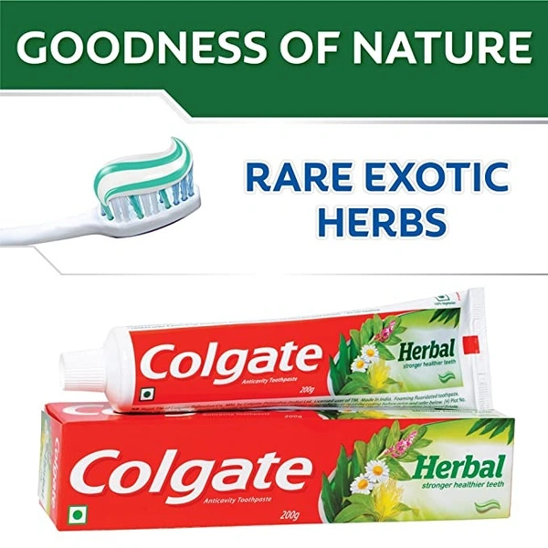 Colgate Herbal 100G