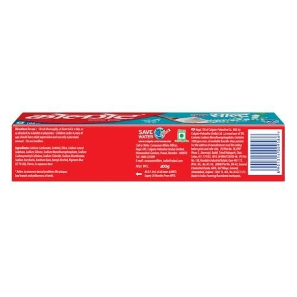 Colgate Salt 200G