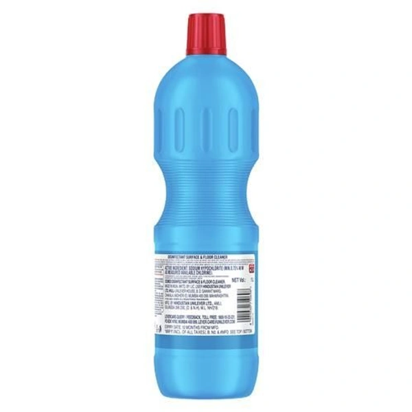 Domex Floor 1L