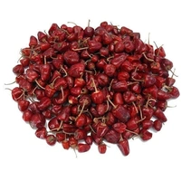 Gundu Milagai - 1Kg