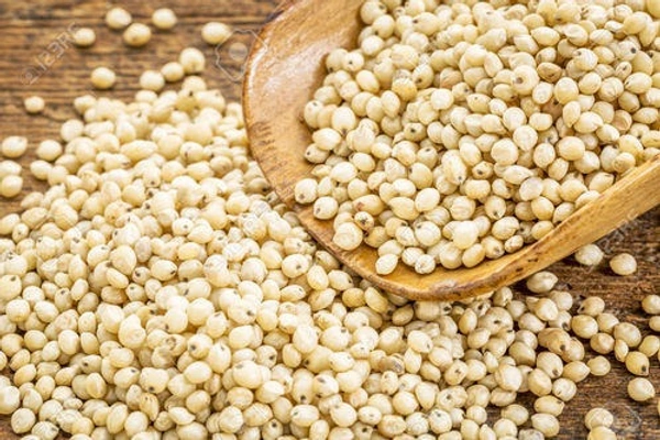 White Solam - 500G