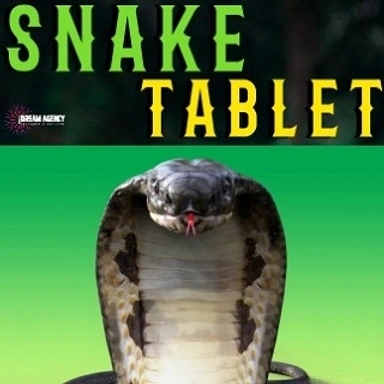 Snake Tablet