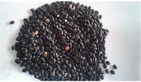 Kolath Dal - 1kg.