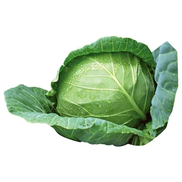 Cabbage 1 pc