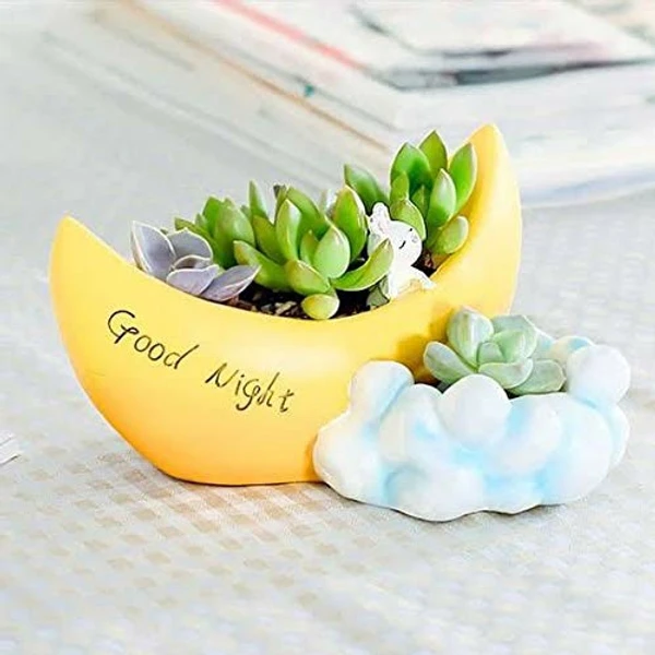 Good Night Moon Resin Pot for Planter for Succulent Plants - Yellow, Moon Planter Pot, Pack Of 1