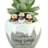 Cute Cartoon Sing Songs Singing Penguins Pot Succulent Planter for Indoor Plants - Resin Planters Table Top Decorative Gardening Pot for Living Room, Home & Office Decoration - White, Sing Song Planter Pot, Pack Of 1