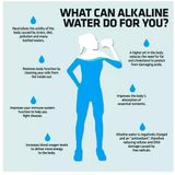 Alkaline Water Bottle, with Food Grade Plastic, Stylish and Portable - Alkaline Water Bottle, Pack Of 1