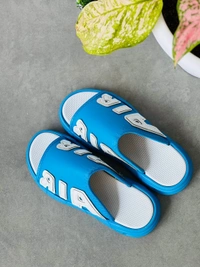 Air slides (40,41,42,43)