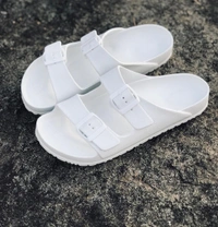 Slides Imported (43,45)