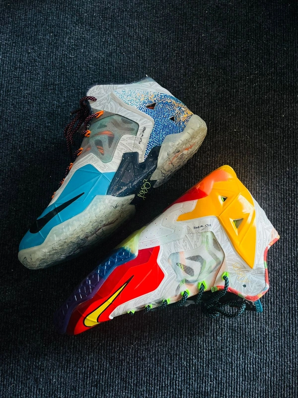 Lebron 11 Dual Color (41)