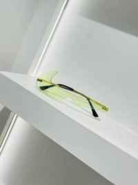 Imported Sunglass